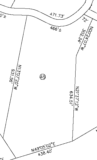 Lot 45